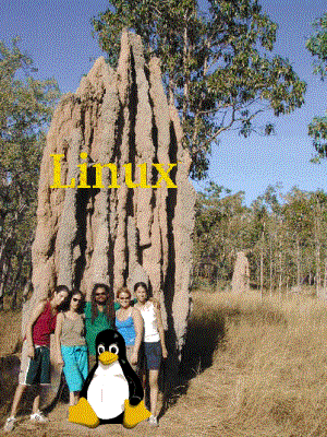 The Linux termite mound