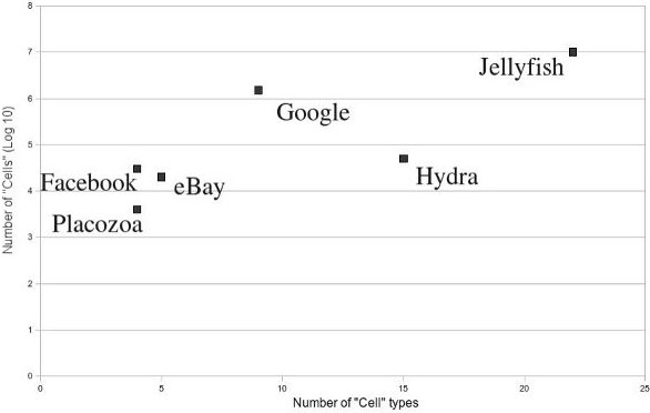 relationship between number of cells and number of types